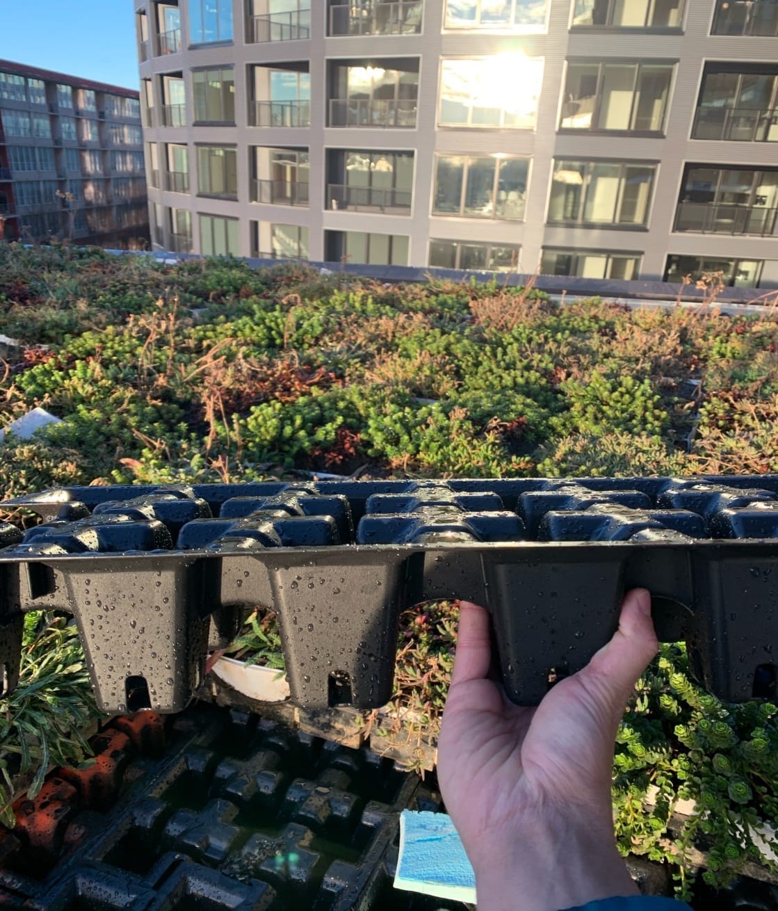 RoofBlue Retain — water captured for plant use